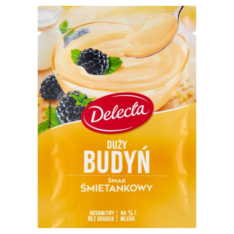 DELECTA CHEESE PUDDING 64G